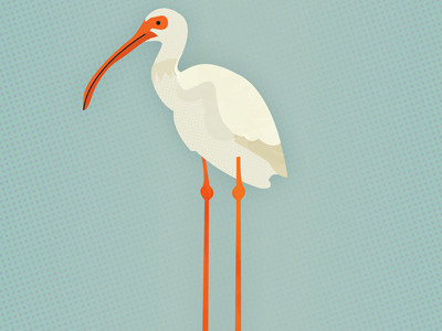 Pedigree - Illustrated Etymology crane illustrated etymology illustration pedigree