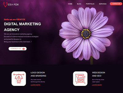 Web Design for Marketing Agency oxygen builder ui ux web design web development wordpress