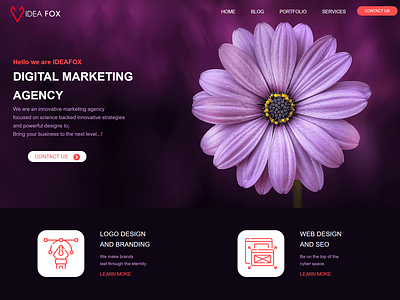 Web Design for Marketing Agency