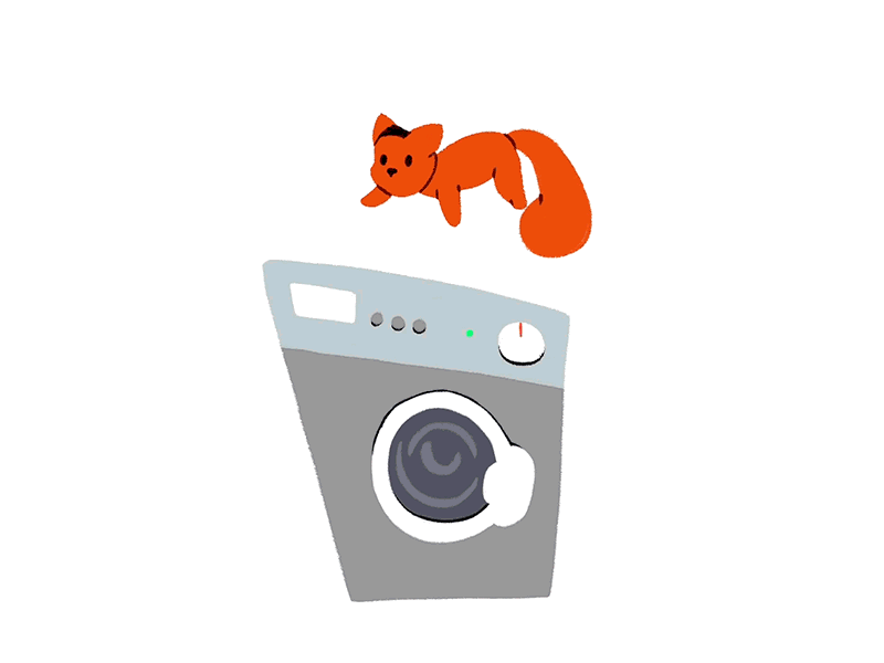 Cat and washing machine 2d animation animation cat cellanimation character framebyframe illustration motion graphics motiondesign