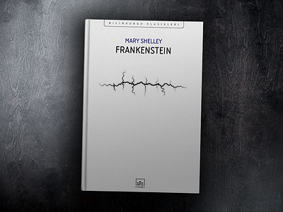 Frankenstein - Fave Leftover book cover frankenstein graphic designer problems illustration leftover proposal stitch thunder unpicked
