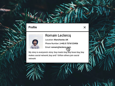 👦 DailyUI #006 - Retro User Profile