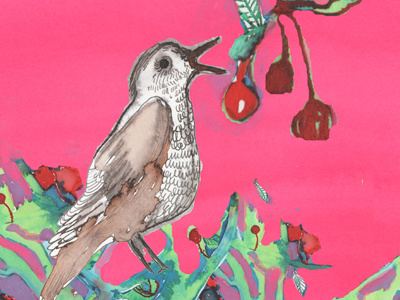 nightingale. bird illustration sweet cherry