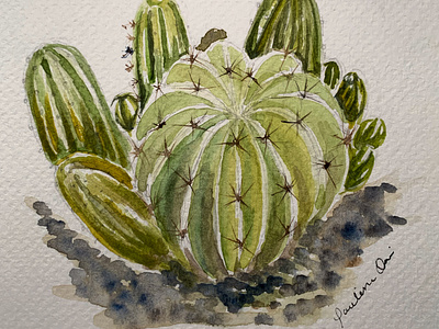 Cactus