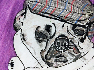 Pug alabama daily drawing illustration pug sketch