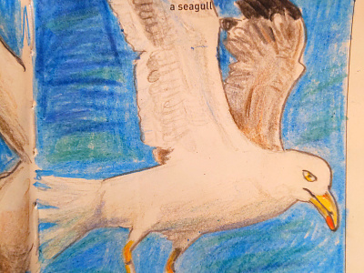 Seagull alabama daily drawing illustration seagull sketch