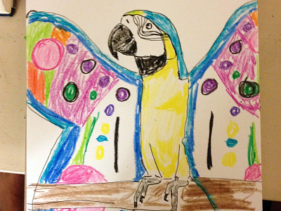 Butterfly Macaw 15 minute drawing butterfly crayons macaw sketch