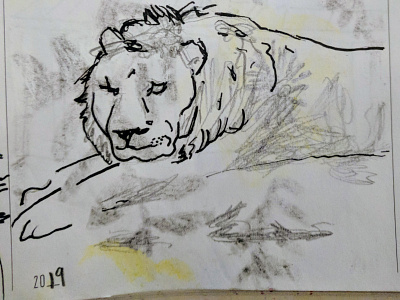 Rembrandt's Lion illustration sketch