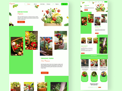 ORGANIC FOOD design farms food green sites organic organic farm organic food pages web page website