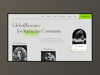 Aquascape website concept branding design minimal typography ui ux web website
