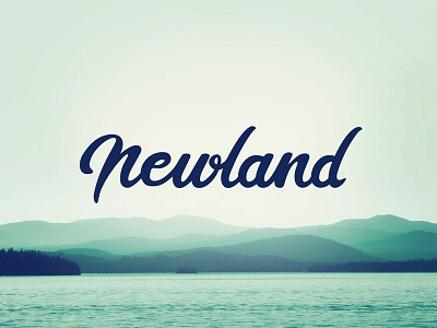 Newland brand branding calligraphy handlettering logo logotype typo typography