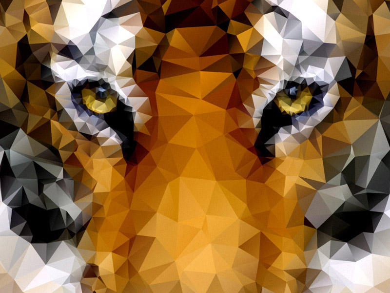 Low Poly Tiger by Chris Spooner on Dribbble