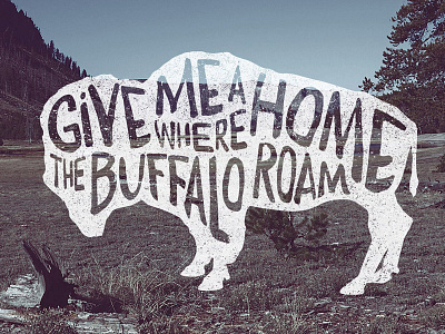 Buffalo Typography Illustration buffalo illustration lettering tutorial typography