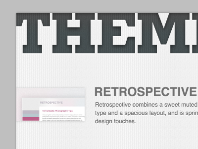 Themes demo page concept grey photoshop slab serif