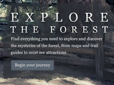 Explore the Forest button photo text typography web design