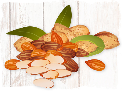 I think I need half an almond almonds illustration nuts shell