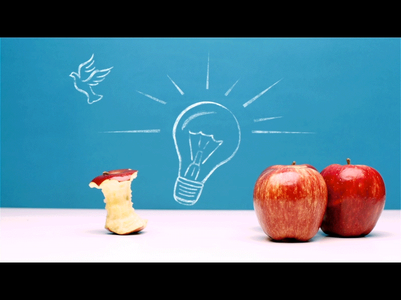 A Bright Idea animation apples bright bright idea concept design idea stop motion