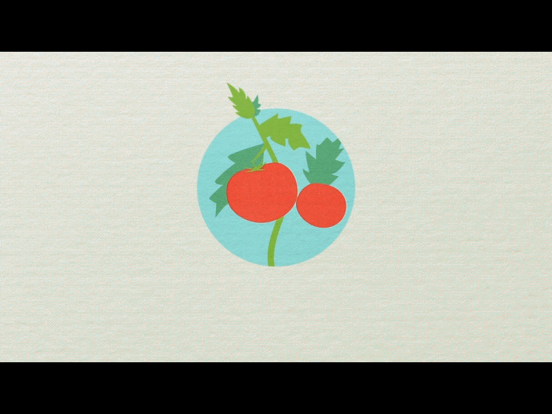 No Tomato In Fridge ad after effects animation fridge tomato tomatoes