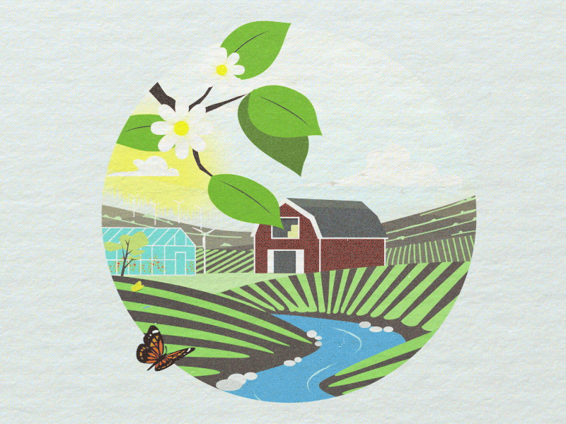 The Four Seasons after effects animation apple butterfly eco farm fields four seasons illustration illustrator windmills