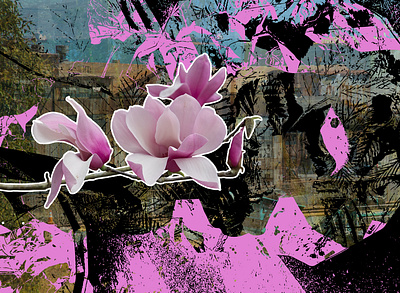 Along the Bay black flowers photography purple vector vector art
