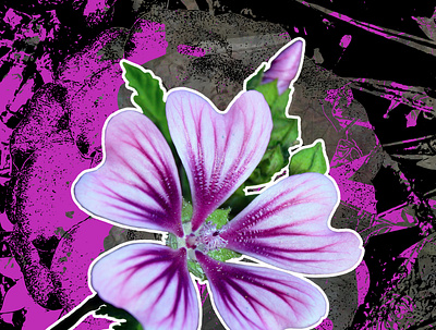 Purple is the Reason flowers photography purple vector vector art
