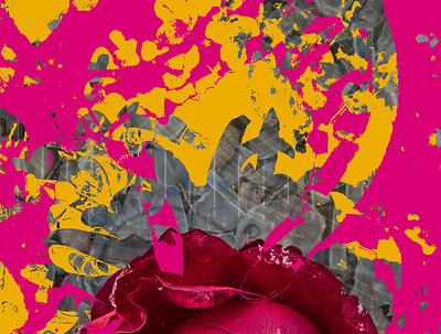 Peeking Through flowers pink vector vector art yellow