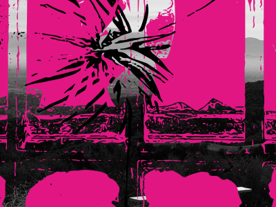 Flowers over Alameda black pink vector vector art