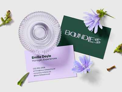Boundless Brand Identity branding design graphic design logo typography vector
