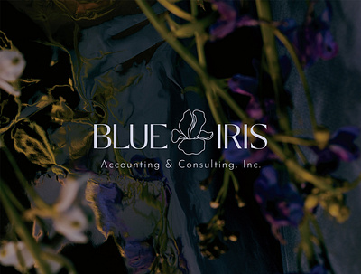 Blue Iris Brand Design branding design graphic design illustration logo typography vector