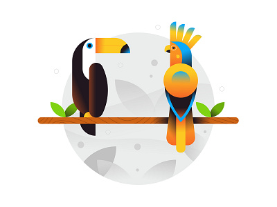 Birds animation art bird branding character design download editorial flat graphic icon icons illustration minimal simple texture ui ux vector web