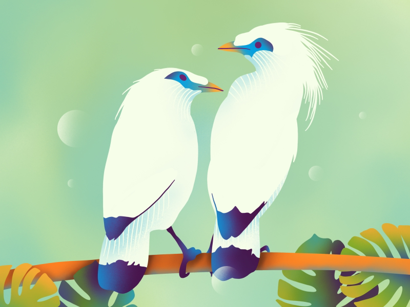 Lovers flat web procreate texture ux ui simple icons download icon graphic bird branding brand art animation illustration