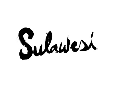 Sulawesi brush bw coffee lettering packaging script type