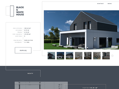 BW house, website design for an architectural project