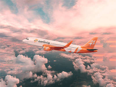 Aerlinia Airplane Body Design - Branding