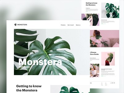 Website design- Monstera design green landingpage monstera ui ux web webdesign website