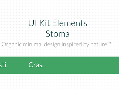 UI Kit Elements Stoma green minimal nature style guide ui
