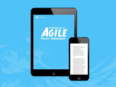 Agile Fundamentals agile book ebook guide project management