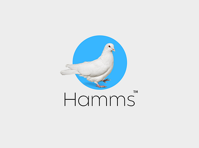 Hamms app brand brandidentity branding burger chat logo chatbox logo chatting app logo design dove illustration logo msg logo pigeon sms logo ui vector