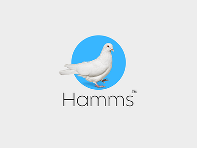 Hamms app brand brandidentity branding burger chat logo chatbox logo chatting app logo design dove illustration logo msg logo pigeon sms logo ui vector