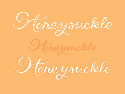 Honey 2 custom lettering identity lettering logo logotype script