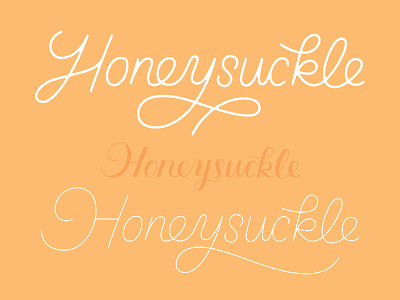 More Honey Iterations branding identity lettering logo logotype script