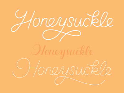 More Honey Iterations