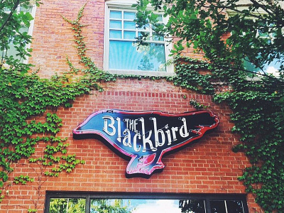 The Blackbird - neon sign bird branding lettering logo neon sign signage