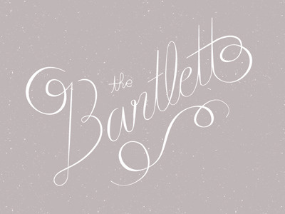 Bartlett identity script typography