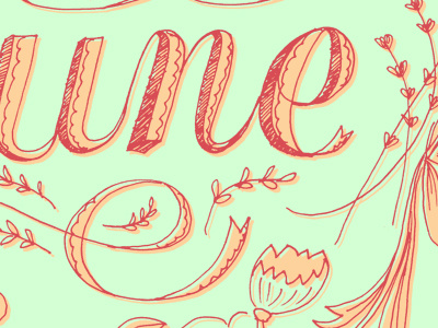 Type Tuesday: June drawing flowers spring type tuesday