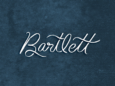 Bart hand-drawn lettering script texture type typography