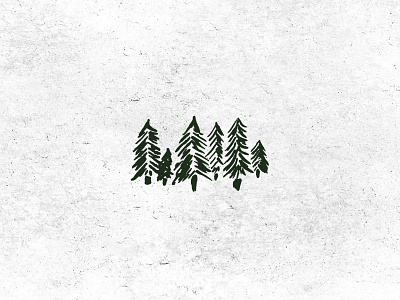 Timber Studios forest hand drawn minimal simple trees