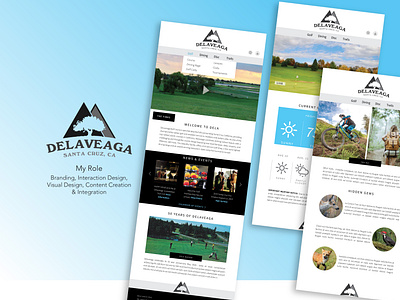 Delaveaga Responsive Website