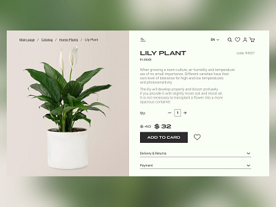 Product card / House plants shop