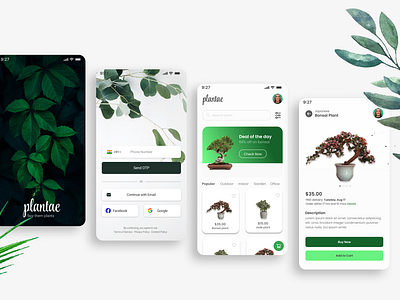 Plantae - plant selling app